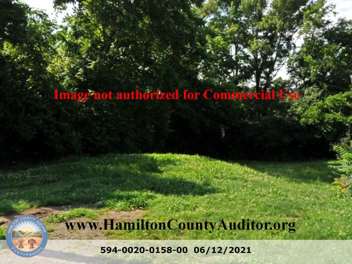 Photo 06/12/2021